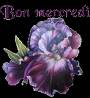 bon mercredi